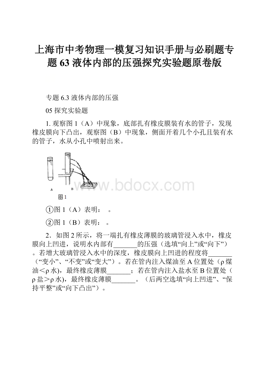 上海市中考物理一模复习知识手册与必刷题专题63 液体内部的压强探究实验题原卷版.docx