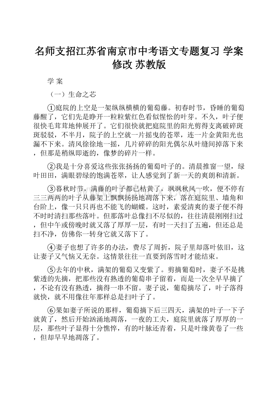 名师支招江苏省南京市中考语文专题复习 学案修改 苏教版.docx_第1页