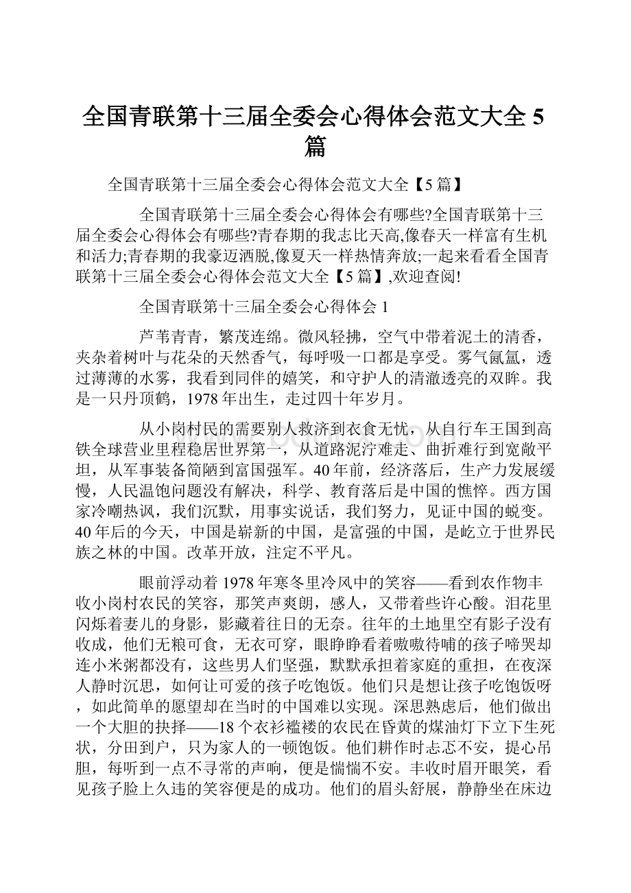 全国青联第十三届全委会心得体会范文大全5篇.docx