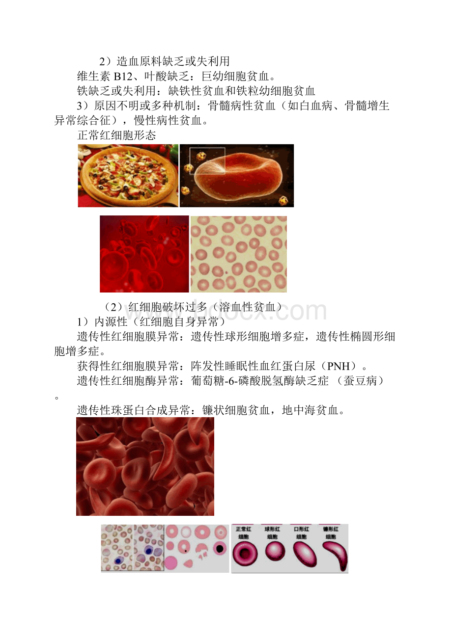 临床执业医师考试辅导血液系统讲义0101.docx_第2页