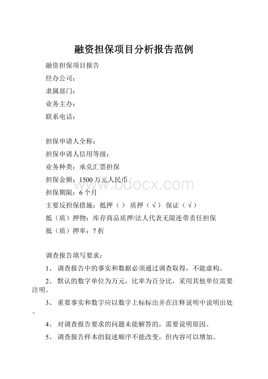 融资担保项目分析报告范例.docx