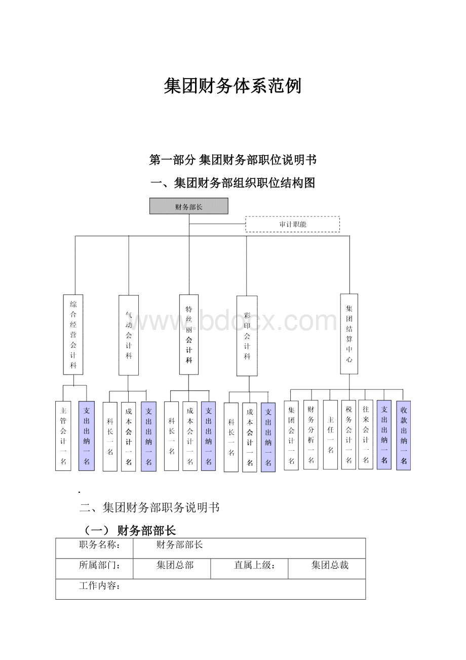 集团财务体系范例.docx