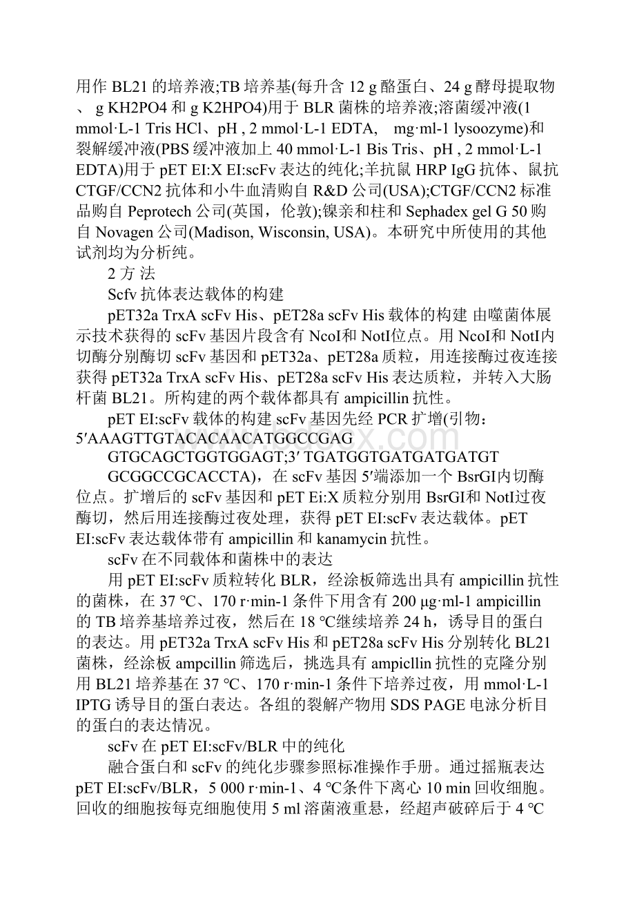 浅论一种新型结缔组织生长因子人源单链抗体的可溶性表达以及分离纯化.docx_第3页