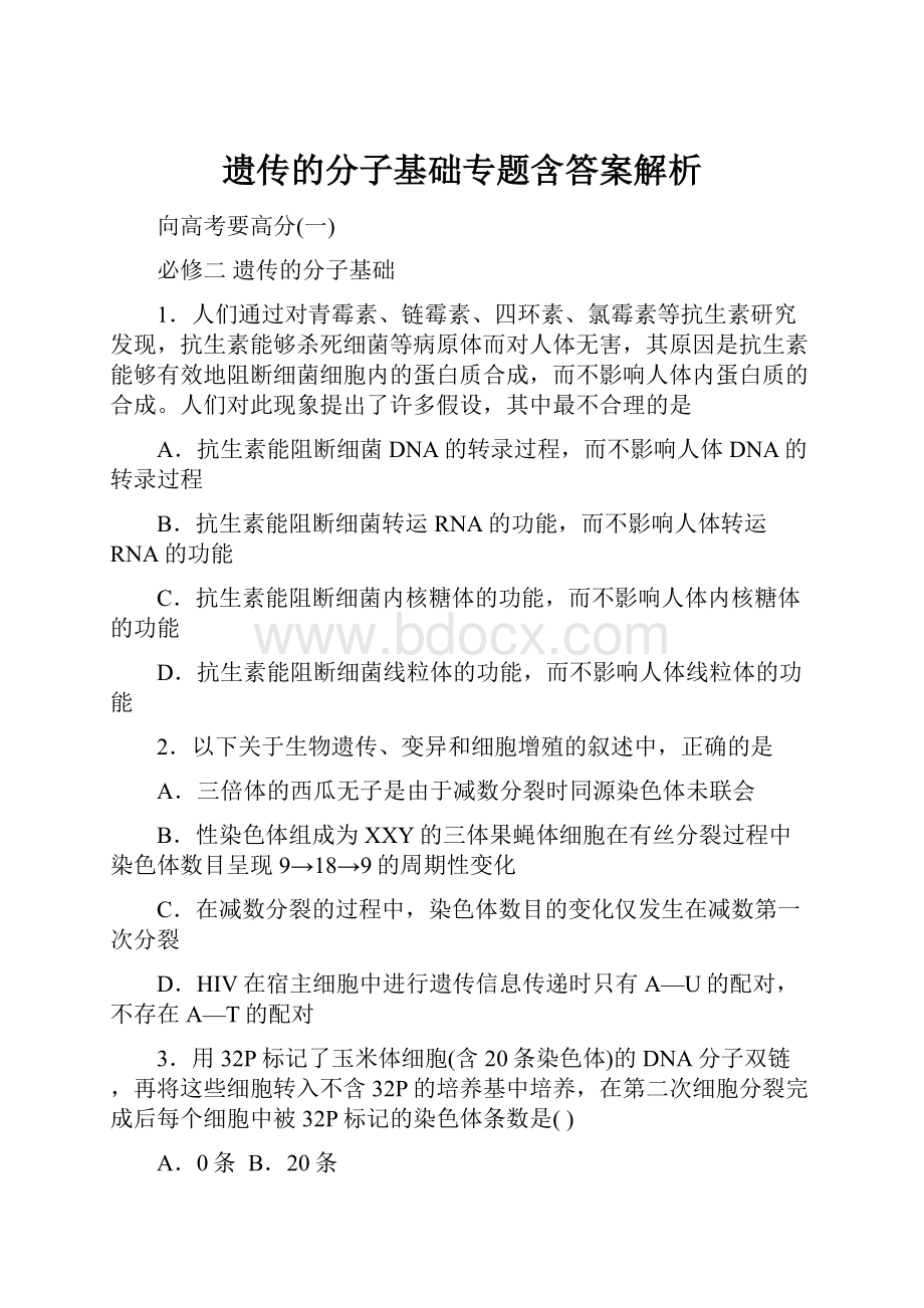 遗传的分子基础专题含答案解析.docx