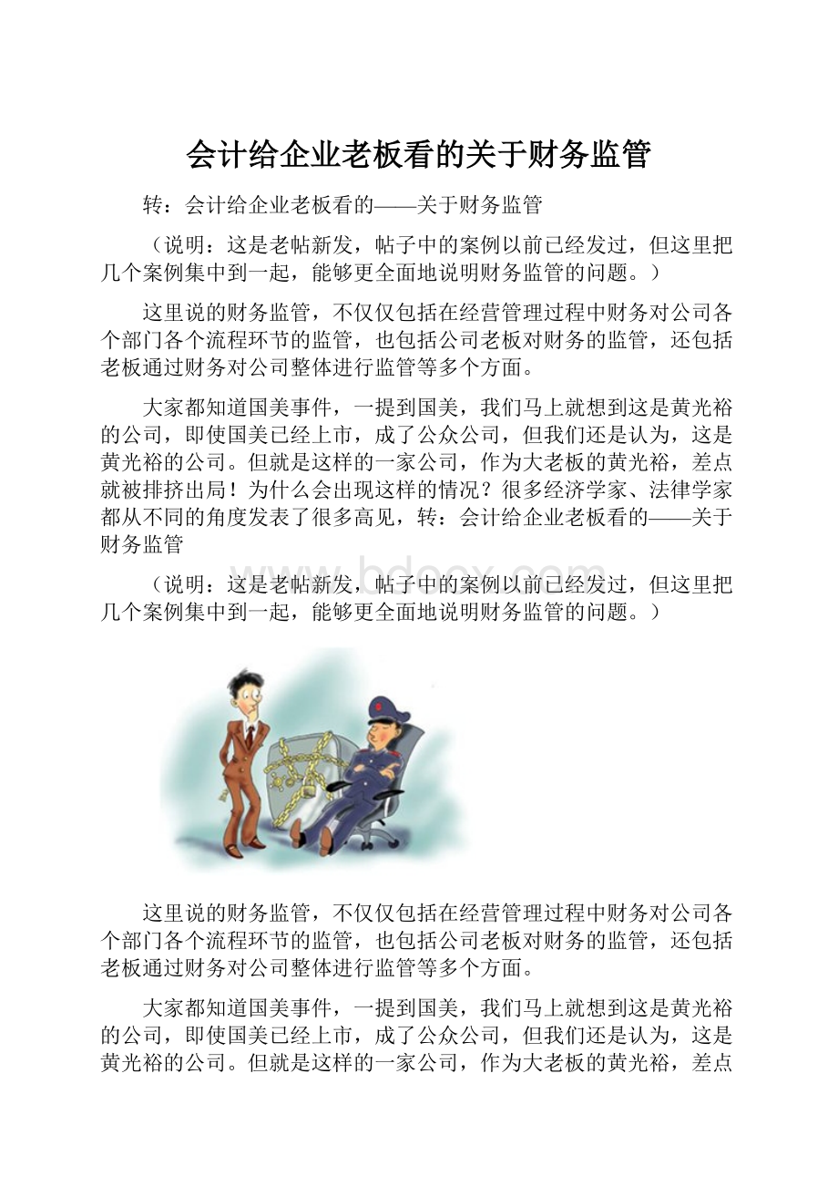 会计给企业老板看的关于财务监管.docx