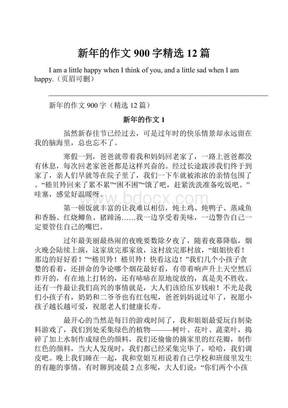 新年的作文900字精选12篇.docx