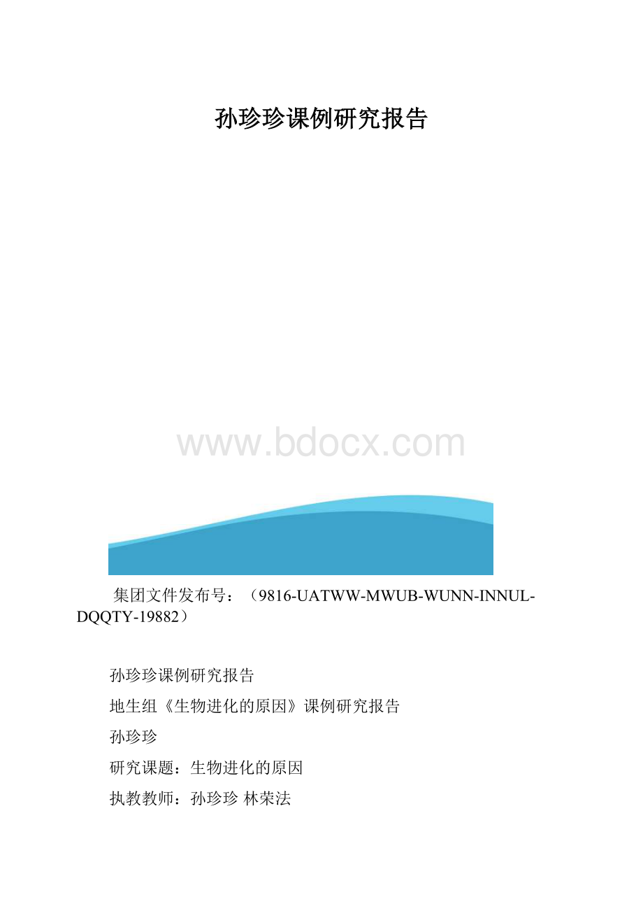 孙珍珍课例研究报告.docx