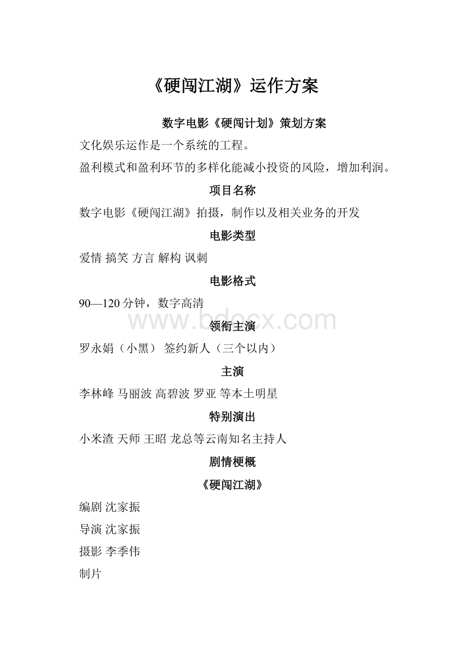 《硬闯江湖》运作方案.docx