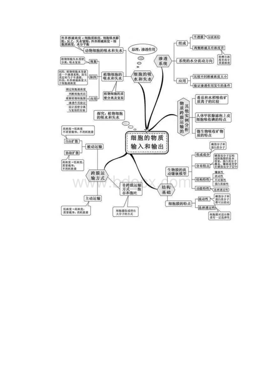 初中生物全部知识点总结.docx_第3页