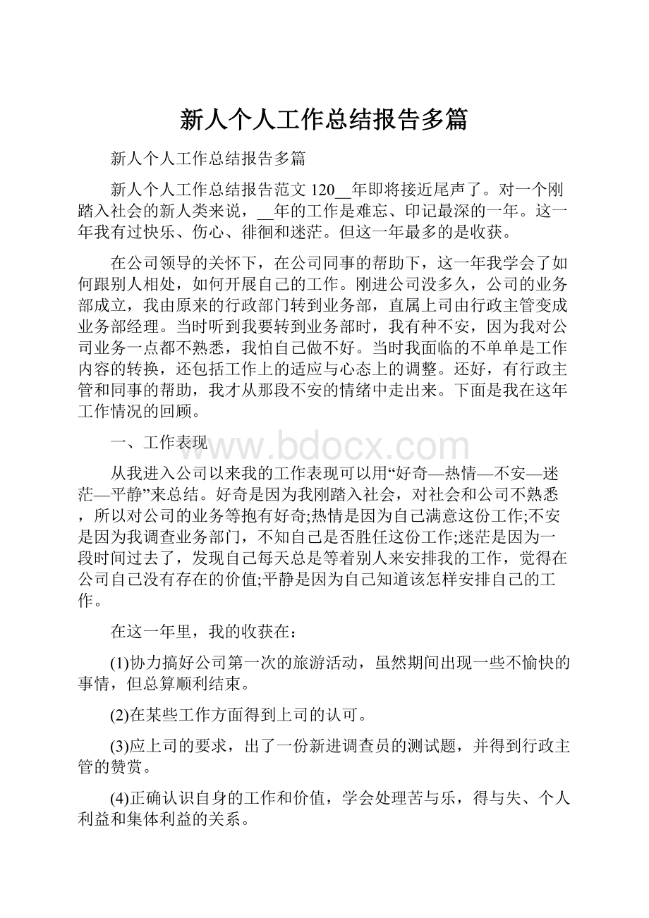 新人个人工作总结报告多篇.docx