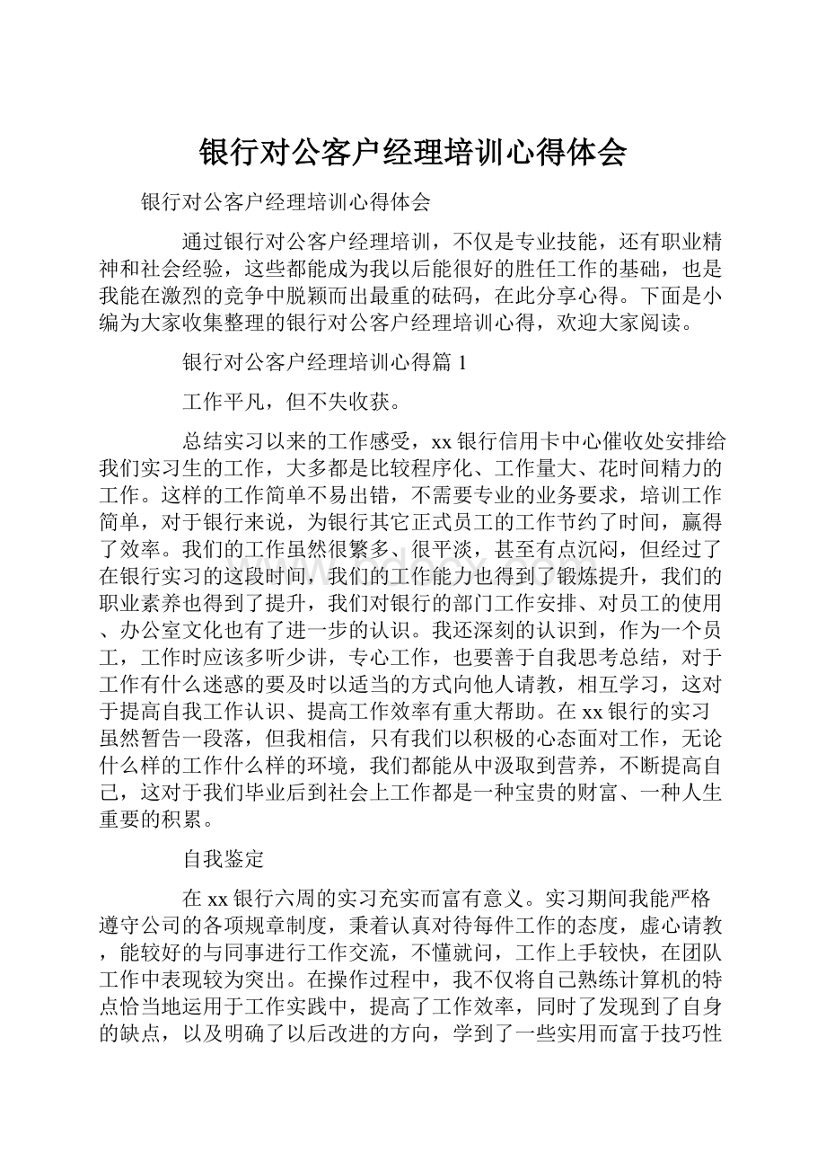 银行对公客户经理培训心得体会.docx