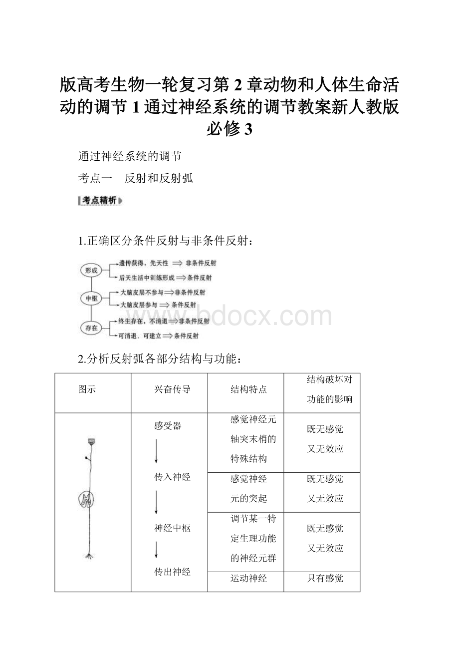 版高考生物一轮复习第2章动物和人体生命活动的调节1通过神经系统的调节教案新人教版必修3.docx