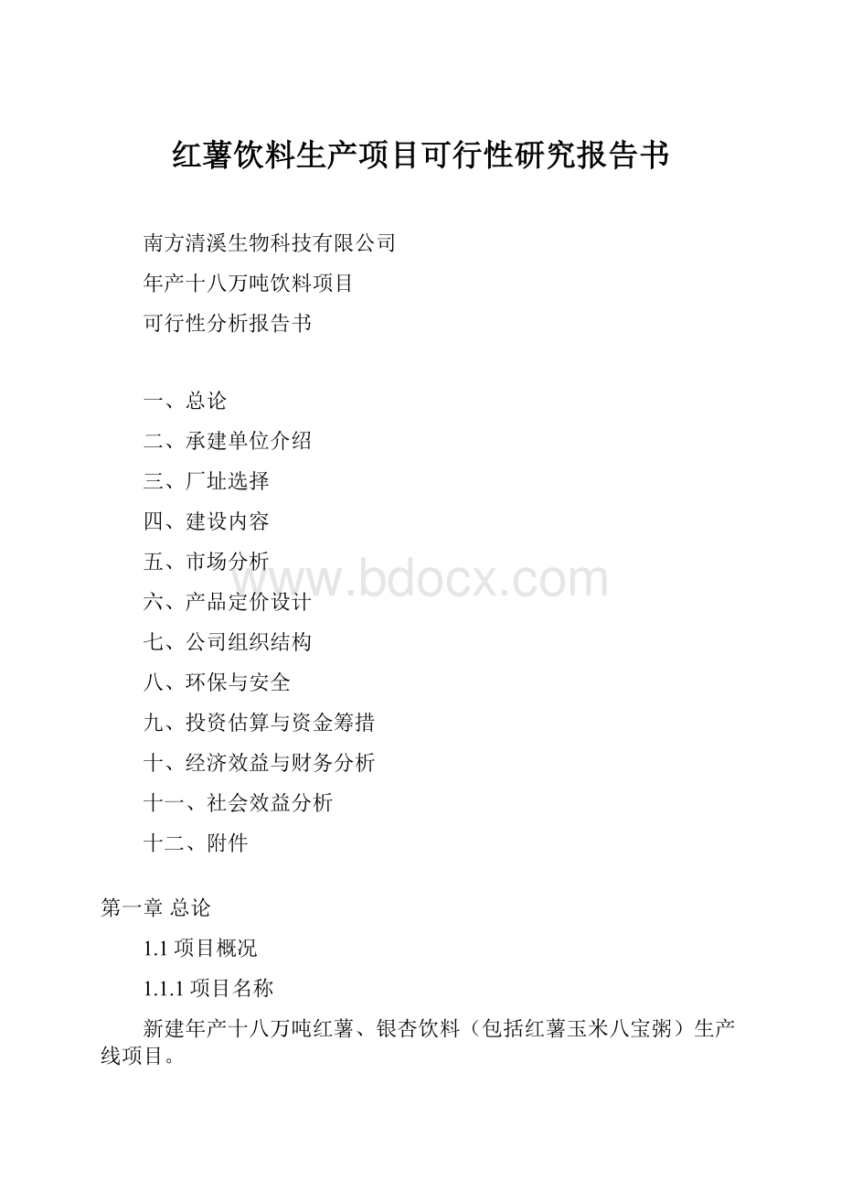 红薯饮料生产项目可行性研究报告书.docx