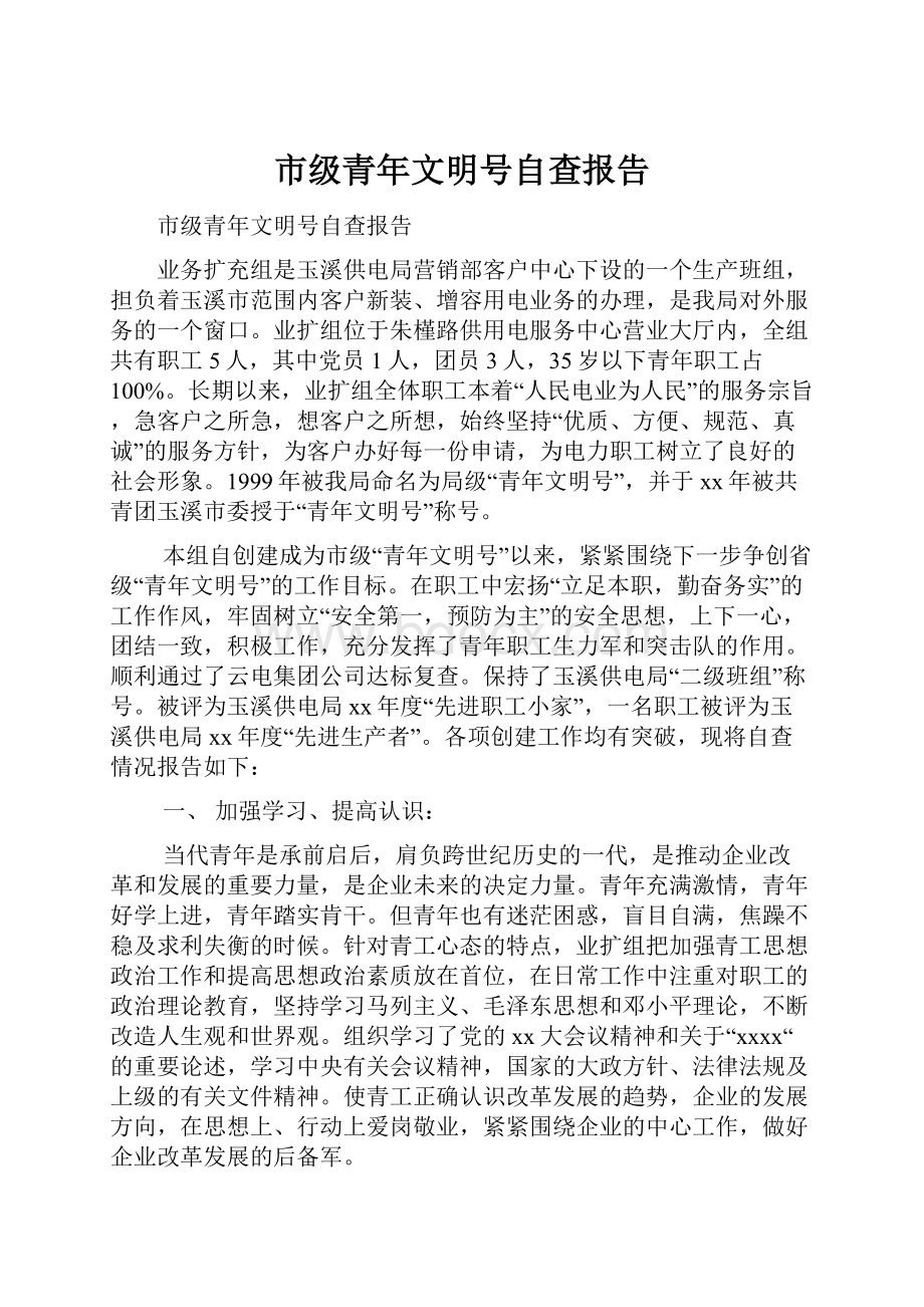 市级青年文明号自查报告.docx