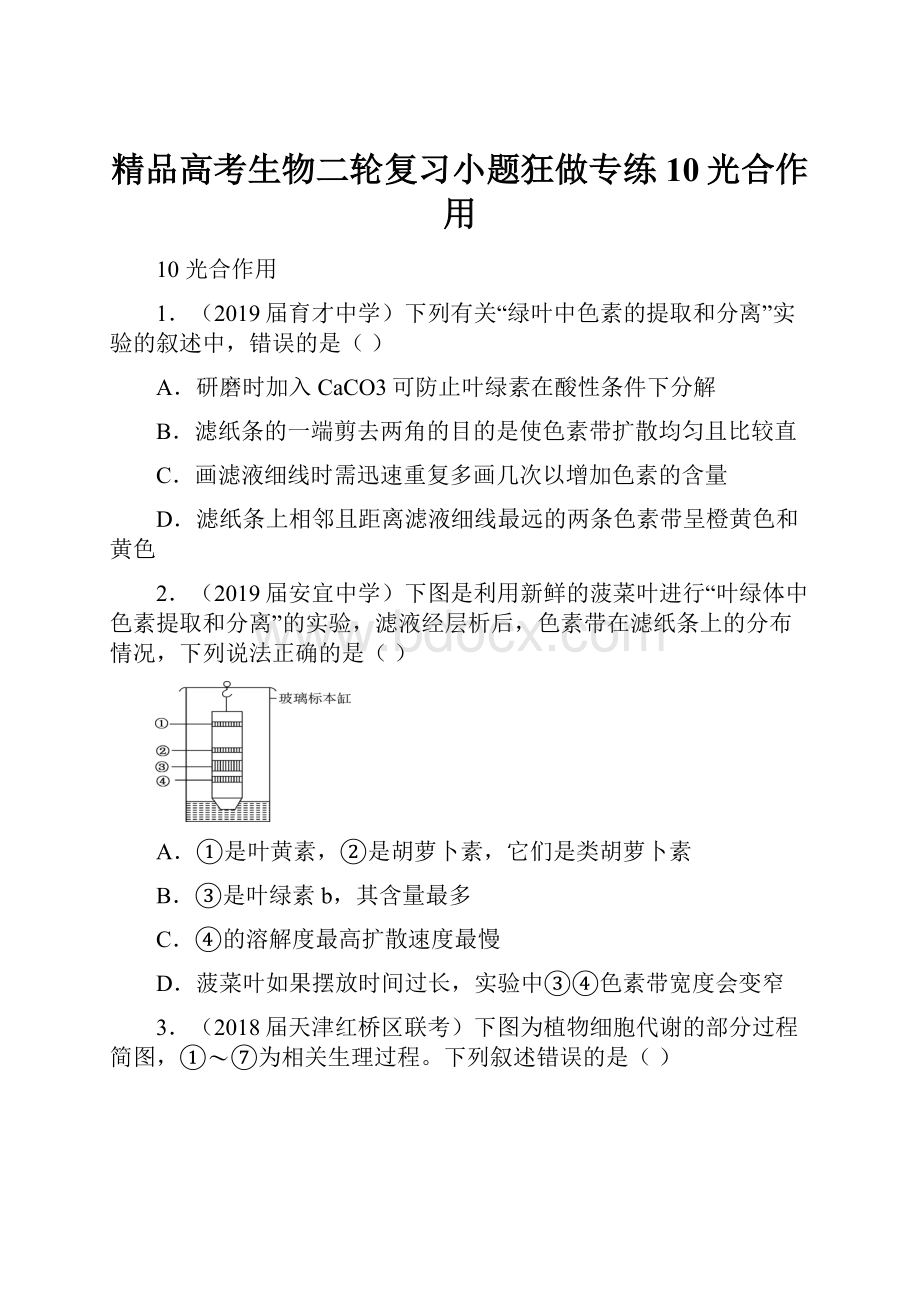 精品高考生物二轮复习小题狂做专练10光合作用.docx