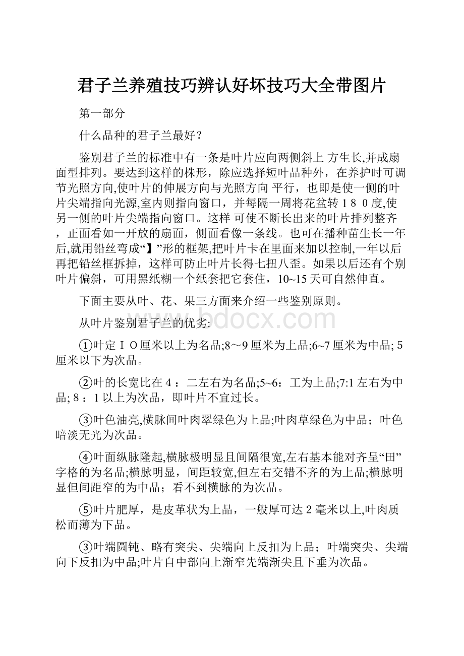 君子兰养殖技巧辨认好坏技巧大全带图片.docx_第1页