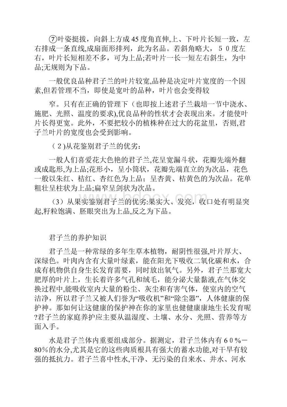 君子兰养殖技巧辨认好坏技巧大全带图片.docx_第2页