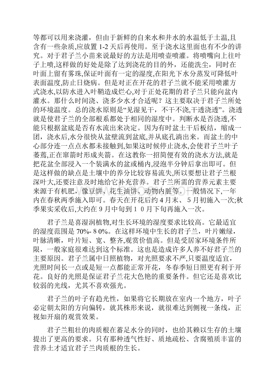 君子兰养殖技巧辨认好坏技巧大全带图片.docx_第3页