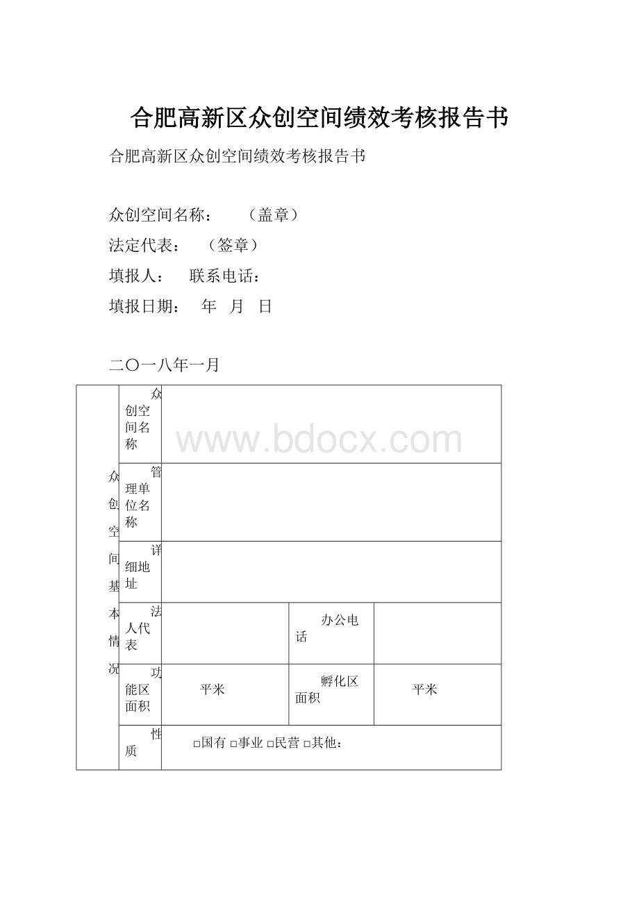 合肥高新区众创空间绩效考核报告书.docx_第1页