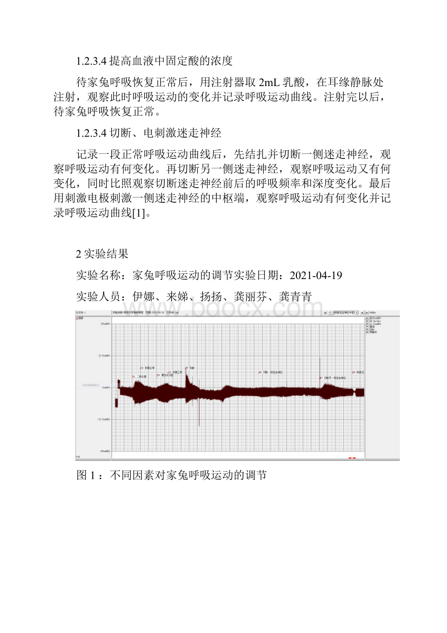 家兔呼吸运动的调节.docx_第3页