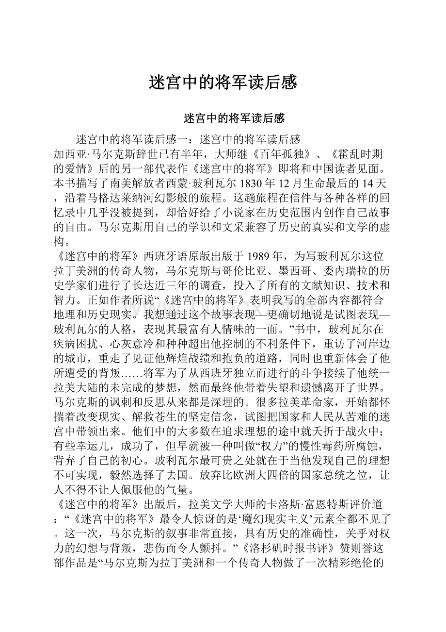 迷宫中的将军读后感.docx