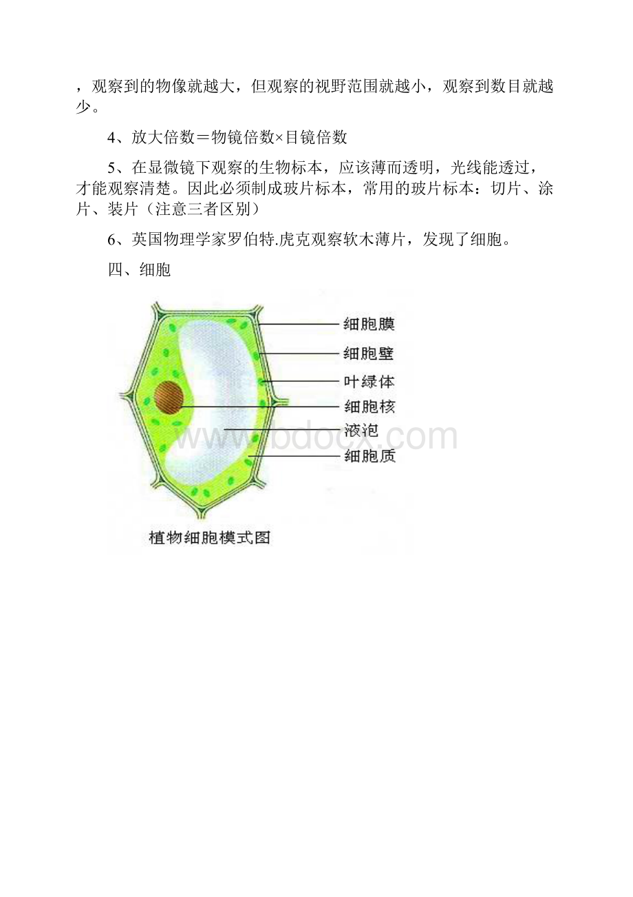 七年级生物上册复习提纲1233333.docx_第3页