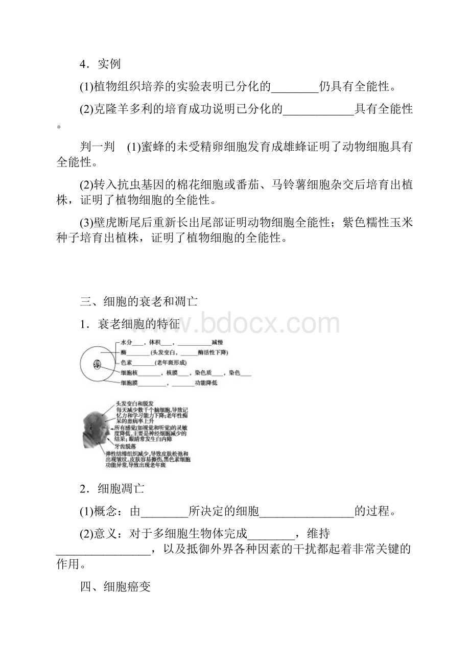 高考生物一轮复习学案16 细胞的分化衰老凋亡和癌变人教版.docx_第2页