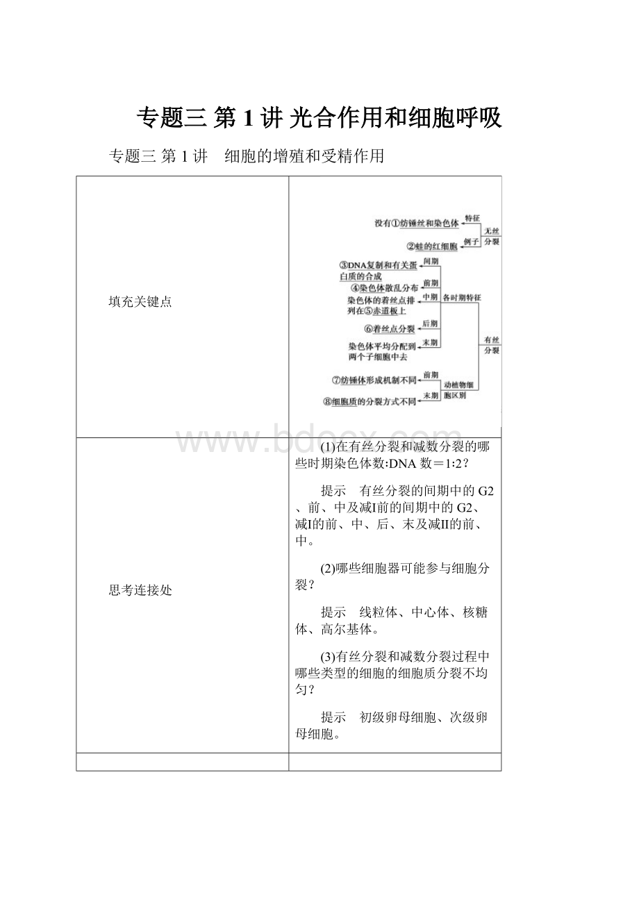 专题三 第1讲光合作用和细胞呼吸.docx_第1页