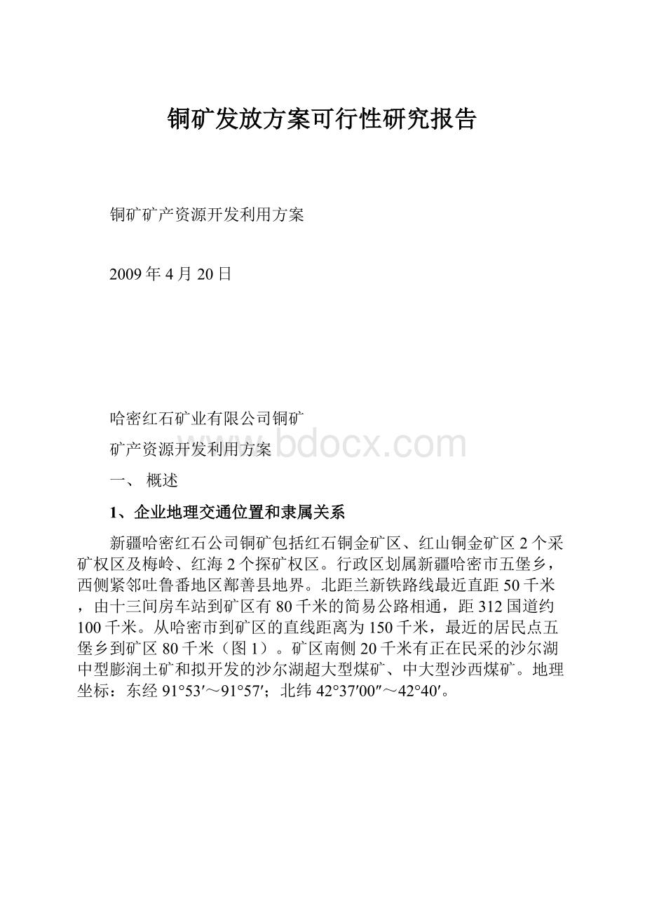 铜矿发放方案可行性研究报告.docx