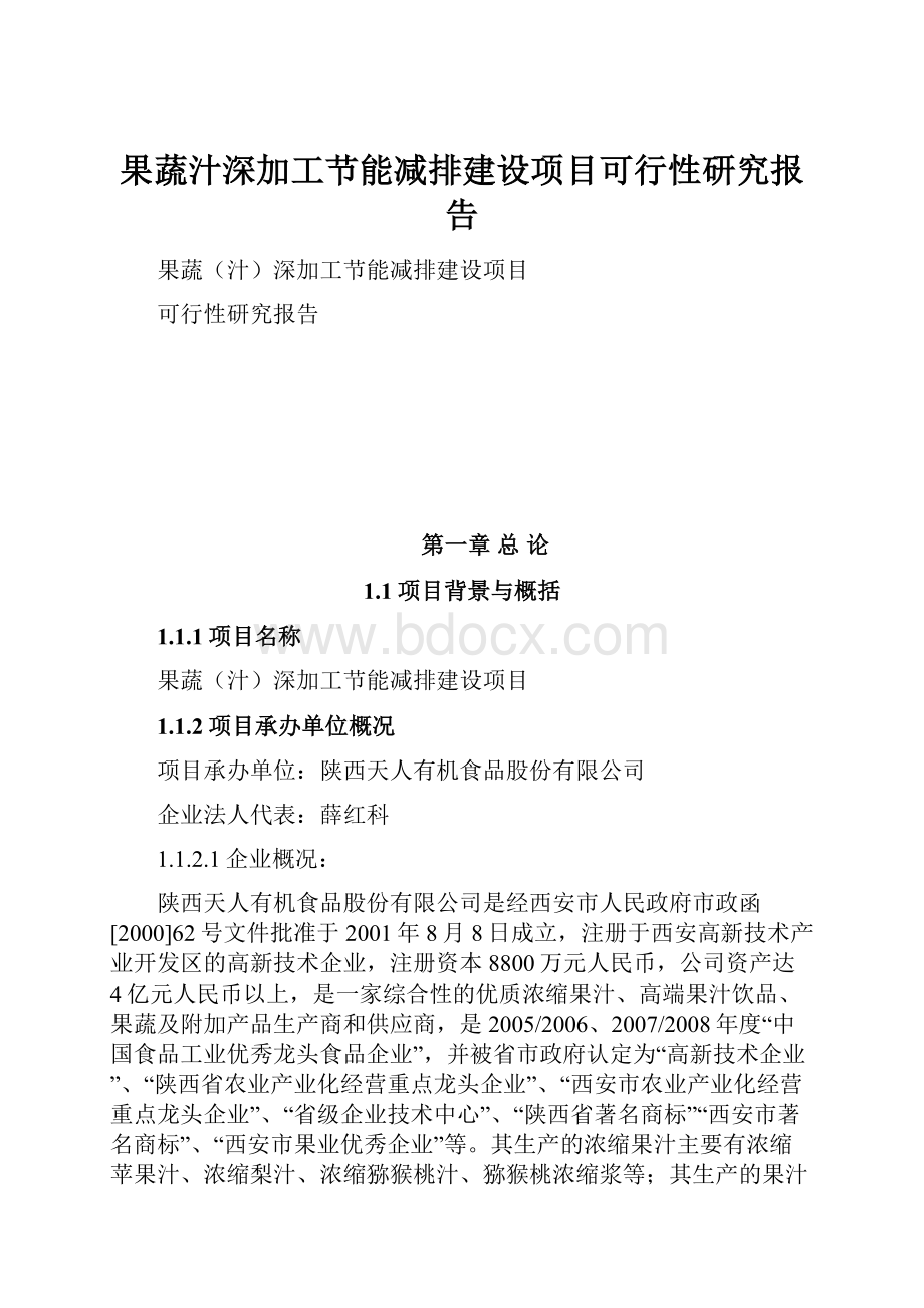 果蔬汁深加工节能减排建设项目可行性研究报告.docx