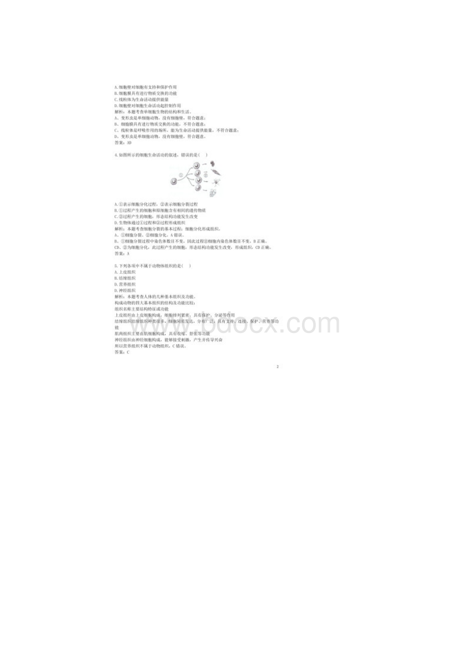 历年安徽省桐城市生物中考真题及答案.docx_第2页