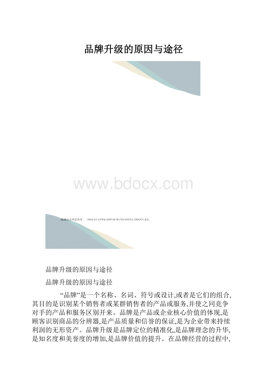 品牌升级的原因与途径.docx