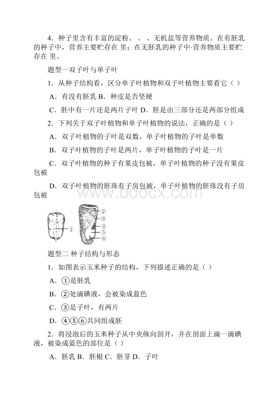 浙教版科学七年级下册第一章第四节植物的一生 练习题有答案.docx_第2页