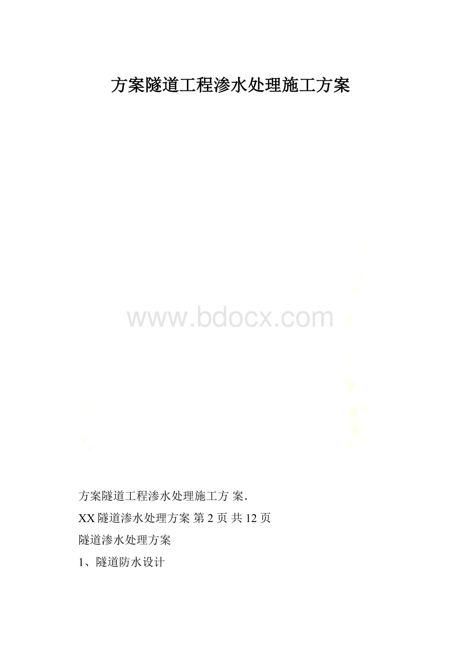 方案隧道工程渗水处理施工方案.docx_第1页