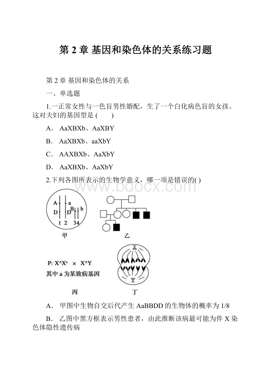 第2章 基因和染色体的关系练习题.docx_第1页