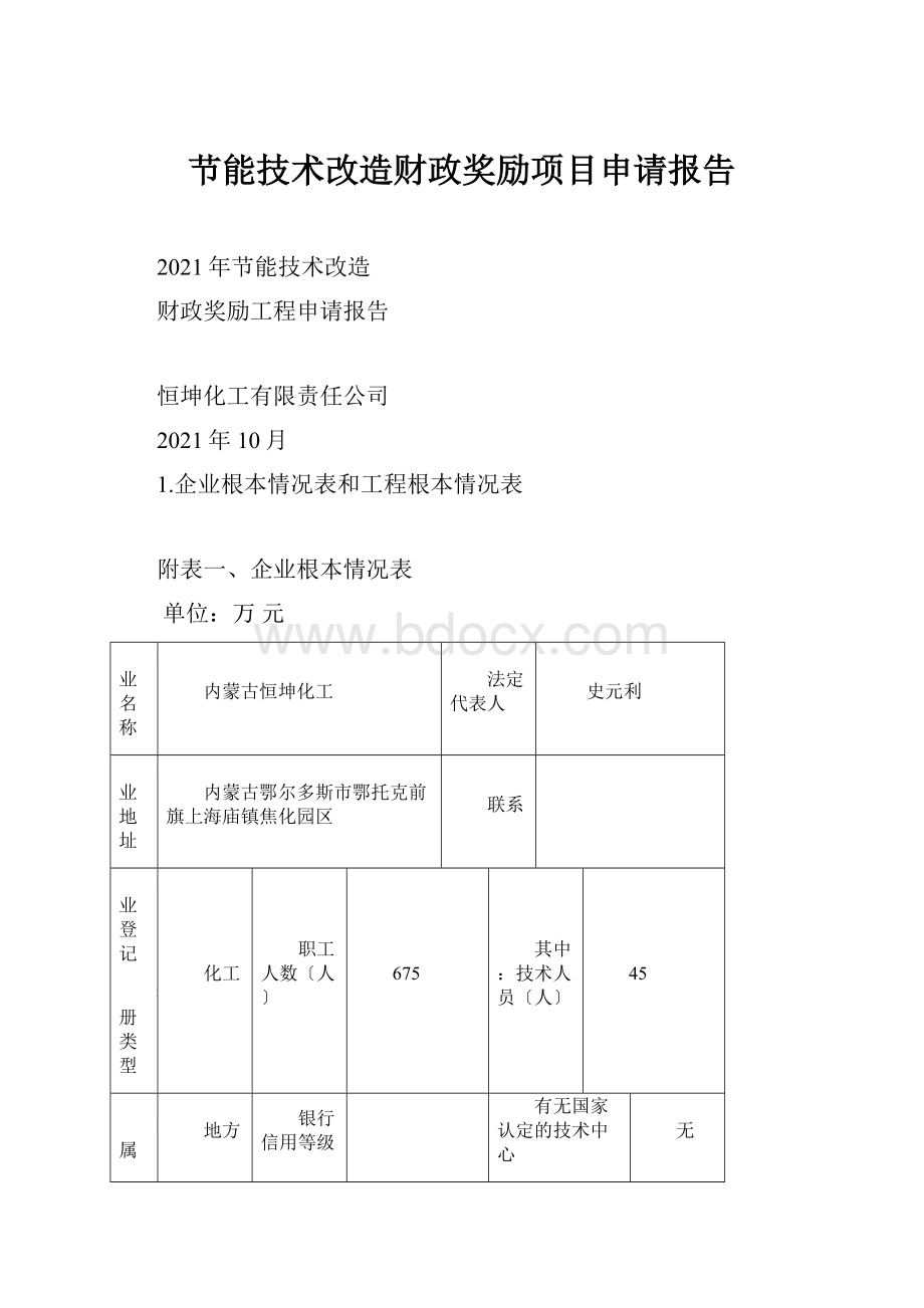 节能技术改造财政奖励项目申请报告.docx