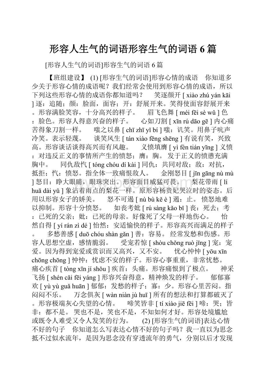 形容人生气的词语形容生气的词语6篇.docx