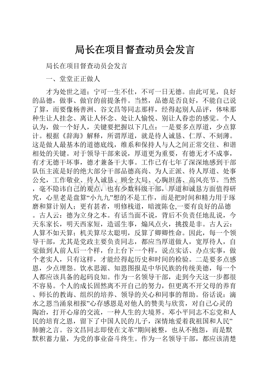 局长在项目督查动员会发言.docx