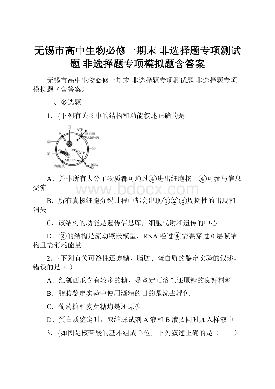 无锡市高中生物必修一期末 非选择题专项测试题 非选择题专项模拟题含答案.docx_第1页