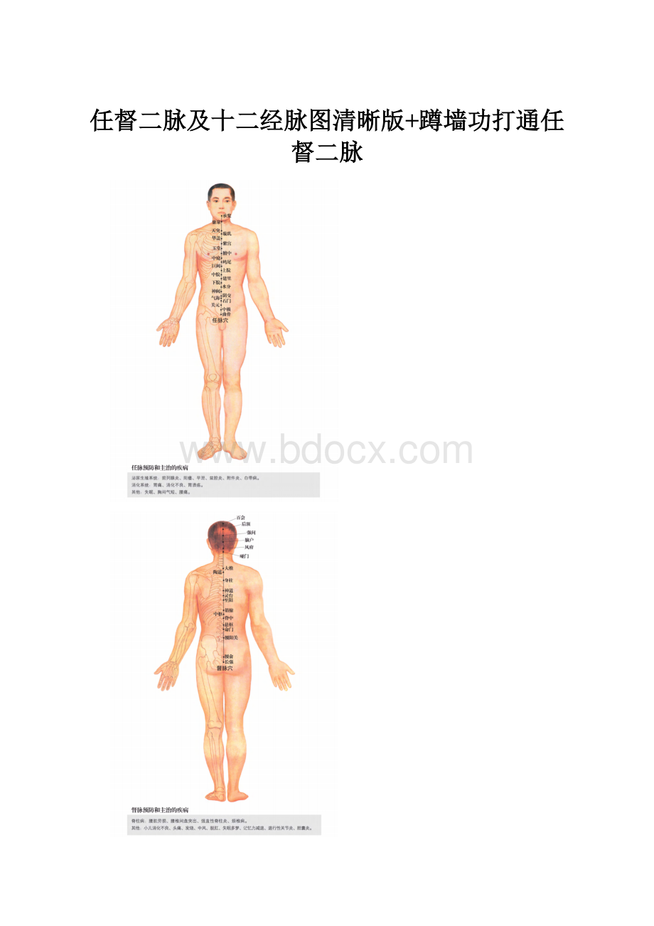 任督二脉及十二经脉图清晰版+蹲墙功打通任督二脉.docx_第1页