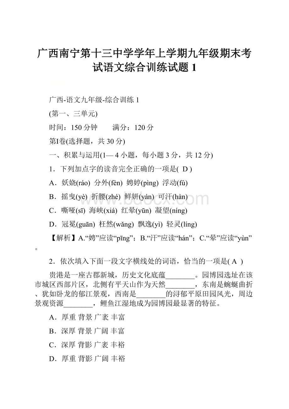 广西南宁第十三中学学年上学期九年级期末考试语文综合训练试题1.docx