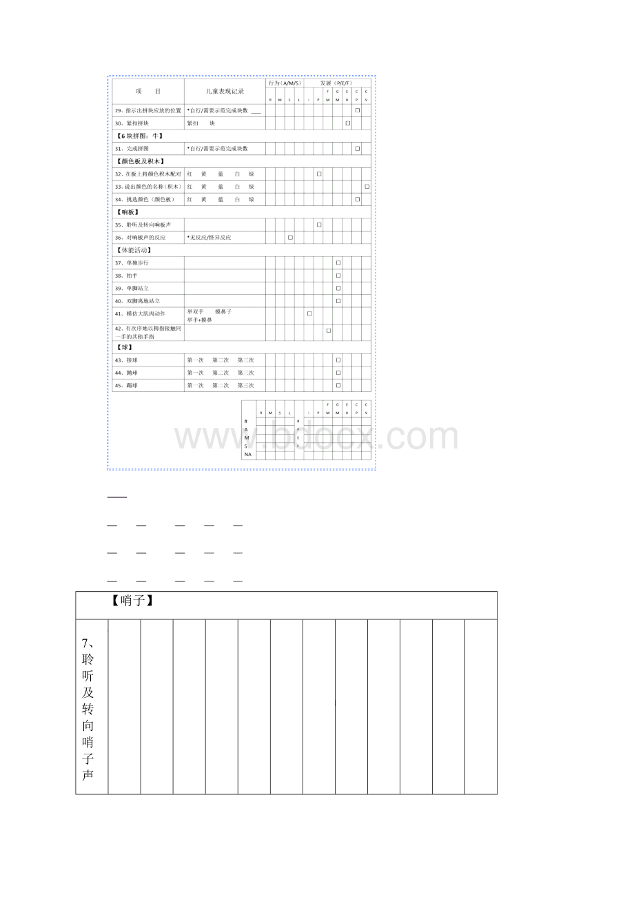 1发展及行为量表记录册.docx_第3页