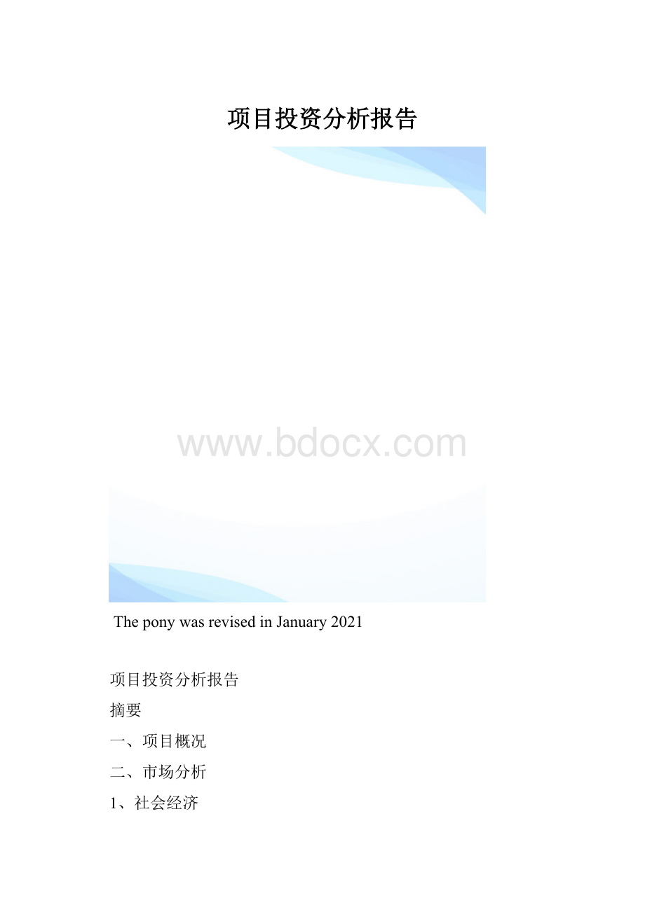 项目投资分析报告.docx_第1页