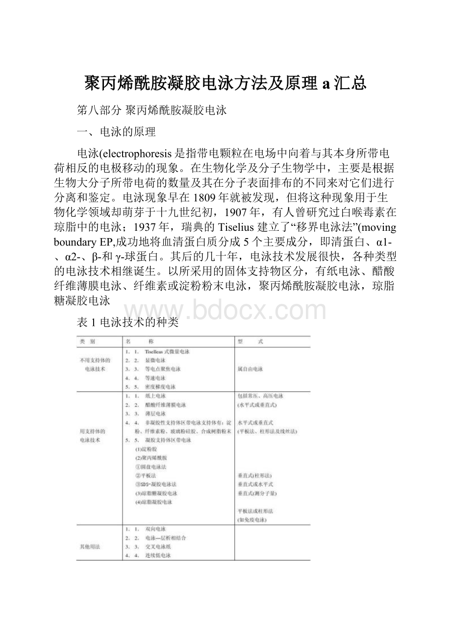 聚丙烯酰胺凝胶电泳方法及原理a汇总.docx