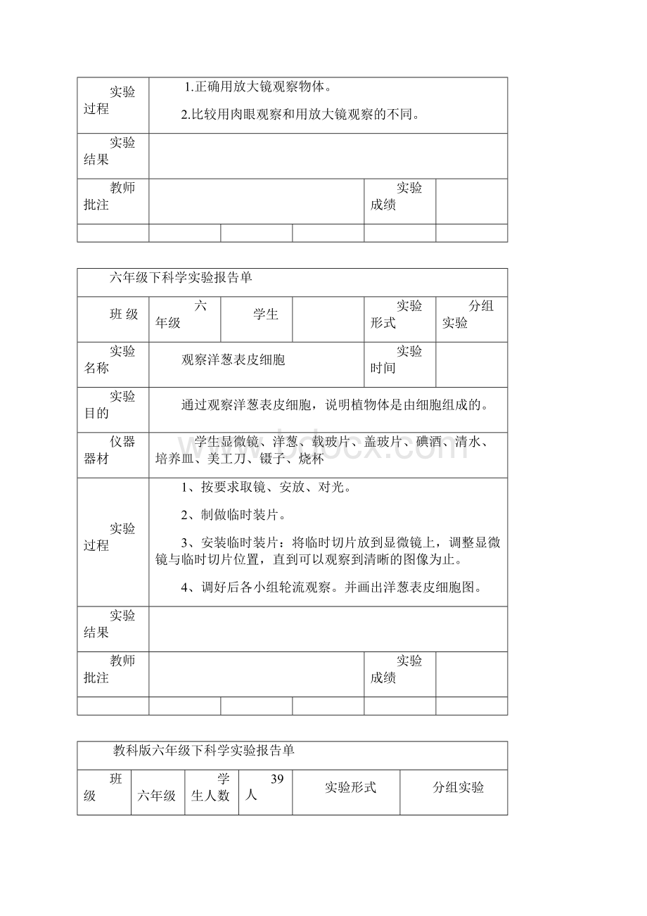 六年级科学下册实验报告单 新版.docx_第2页