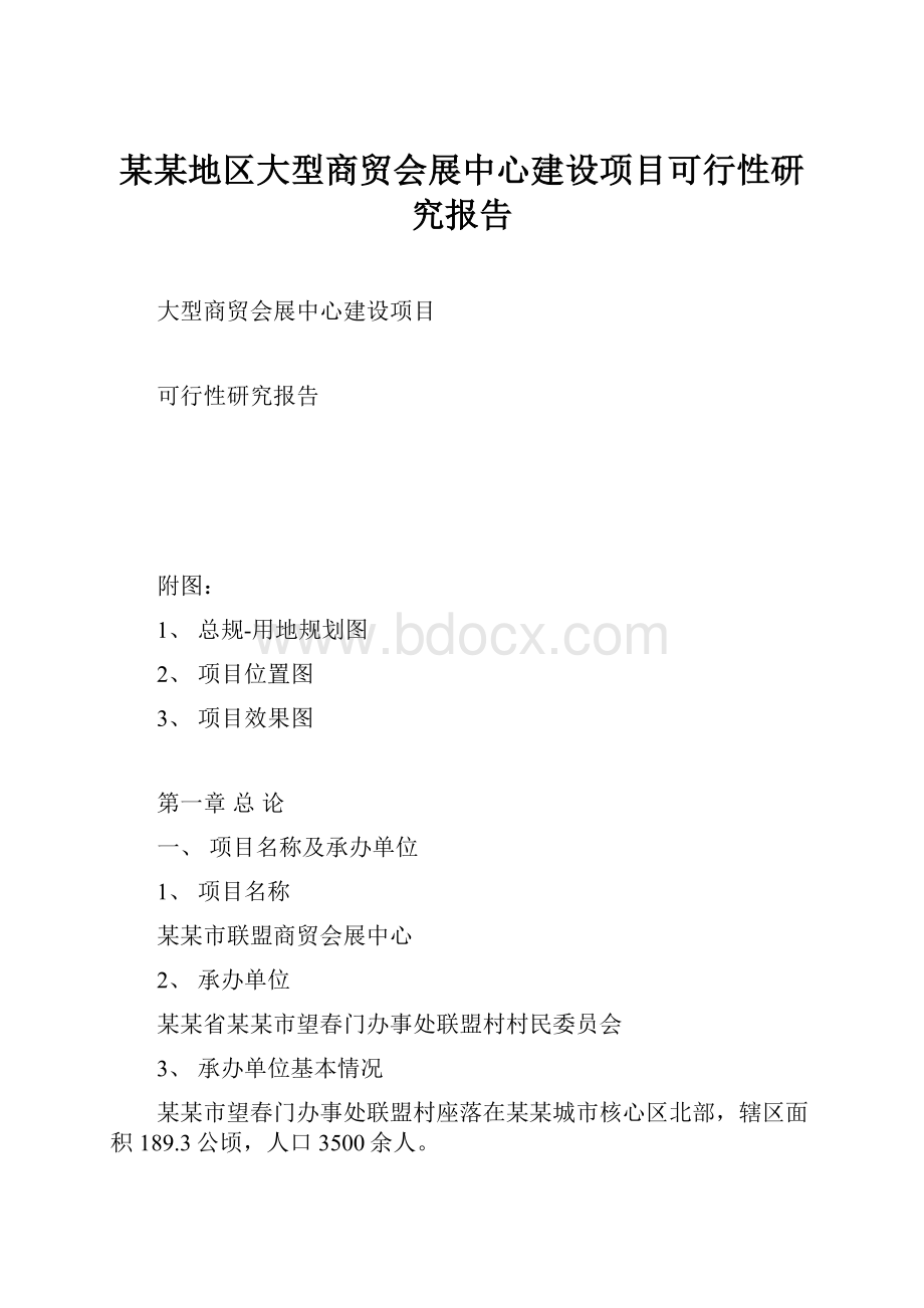 某某地区大型商贸会展中心建设项目可行性研究报告.docx_第1页