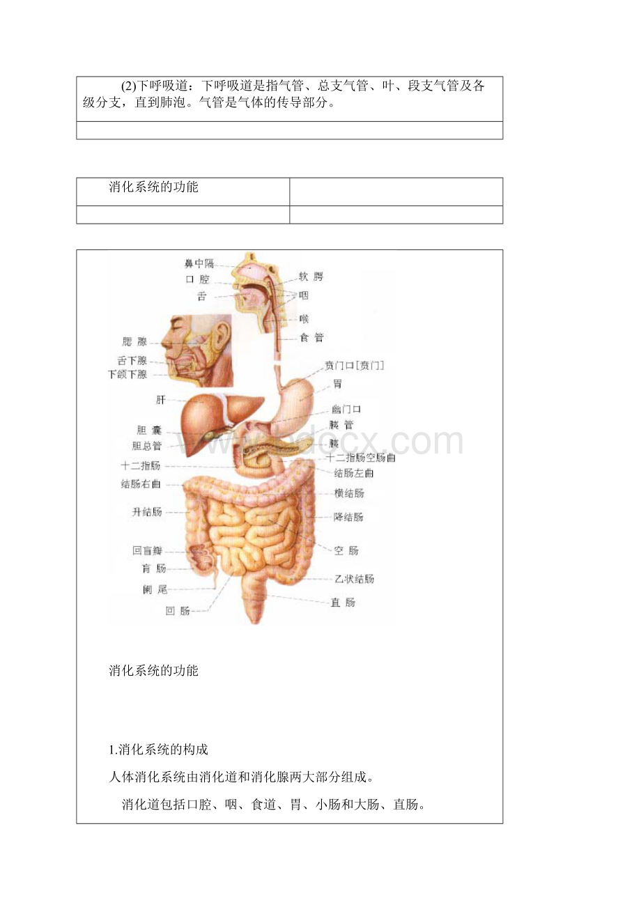 人体八大系统大全.docx_第2页