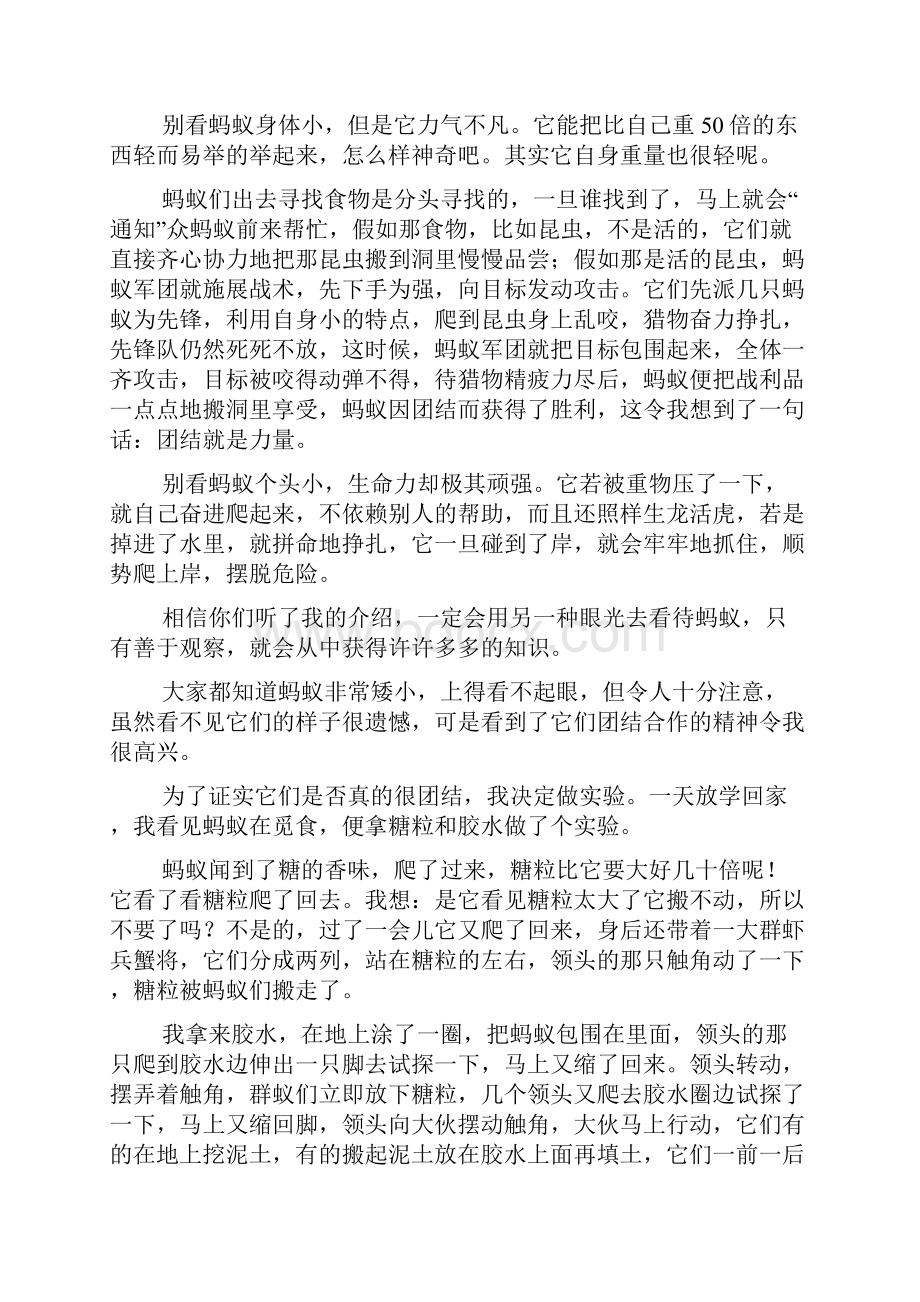 五年级作文我发现了蚂蚁的XX500字.docx_第2页