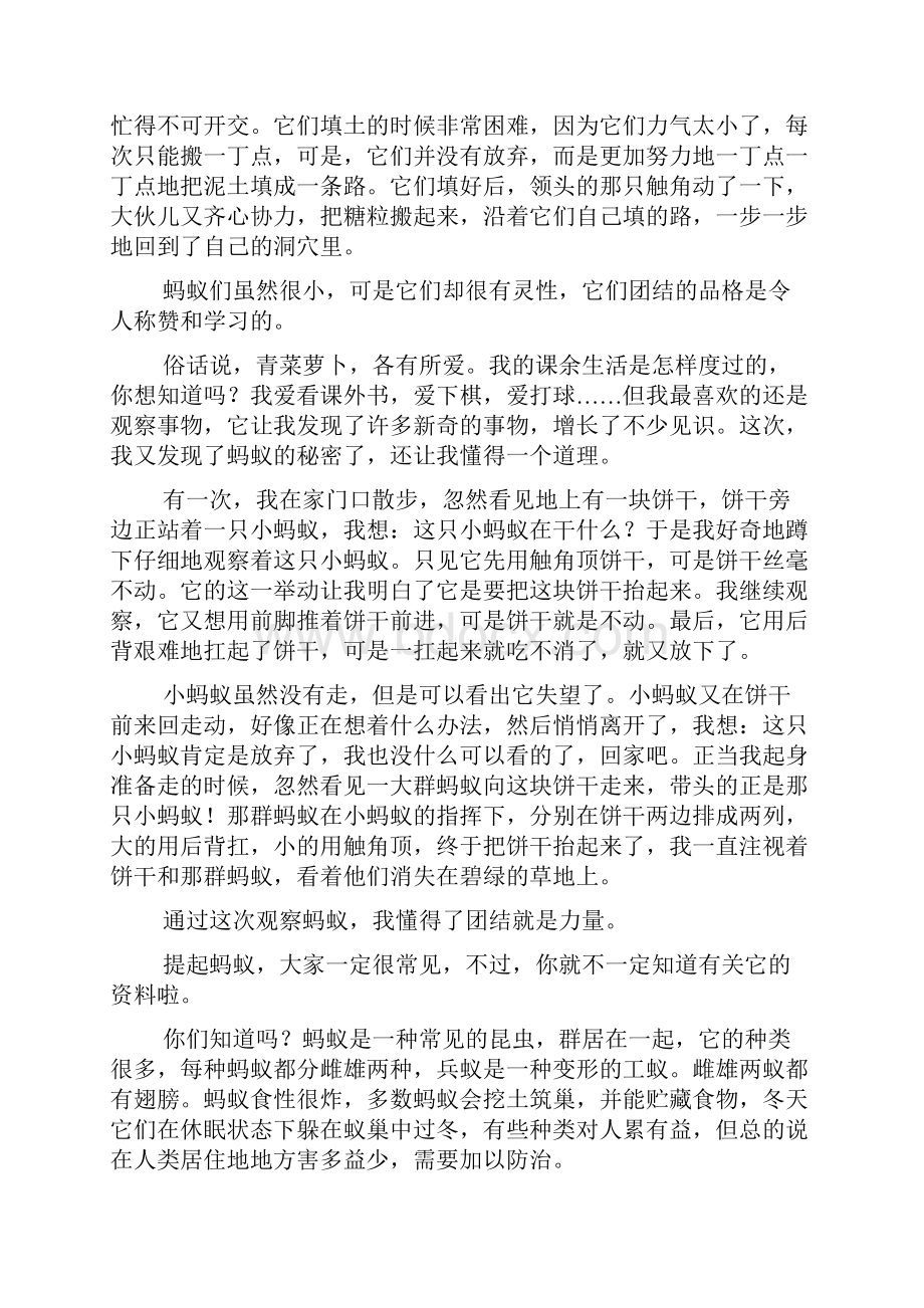 五年级作文我发现了蚂蚁的XX500字.docx_第3页