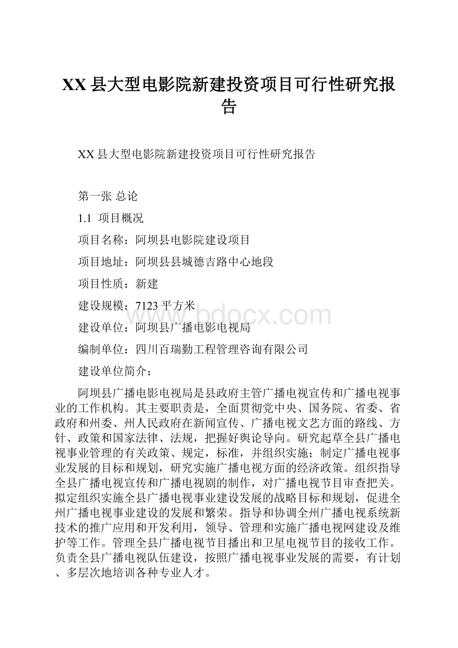 XX县大型电影院新建投资项目可行性研究报告.docx_第1页